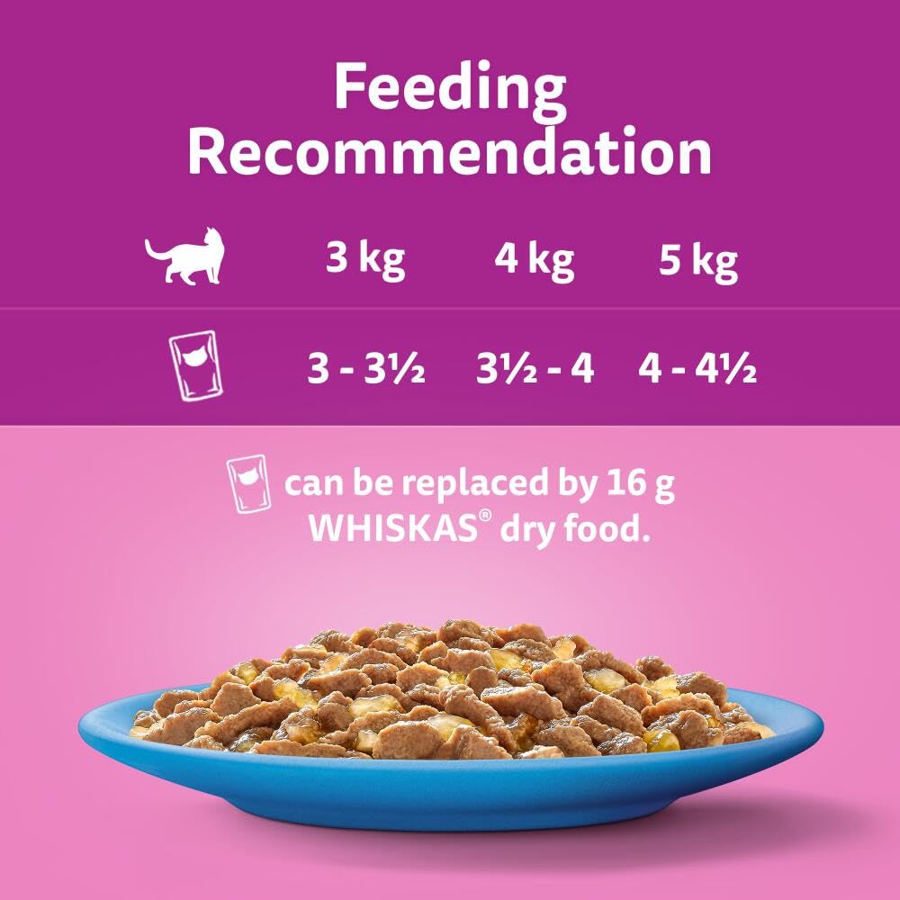 WHISKAS Wet Cat Food 1+ Years – Fish in Jelly – 40 x 85g Pouches – Adult Cat Megapack