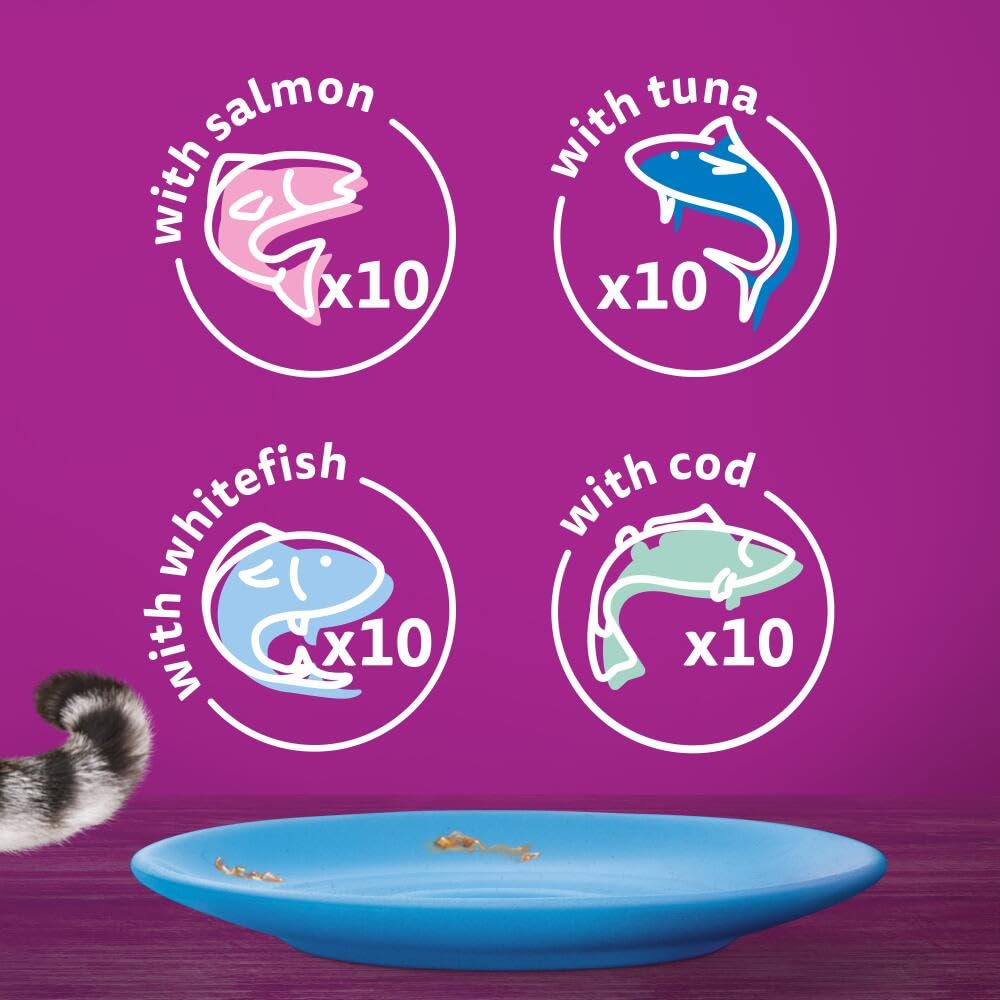 WHISKAS Wet Cat Food 1+ Years – Fish in Jelly – 40 x 85g Pouches – Adult Cat Megapack