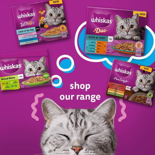 WHISKAS Wet Cat Food 1+ Years – Fish in Jelly – 40 x 85g Pouches – Adult Cat Megapack
