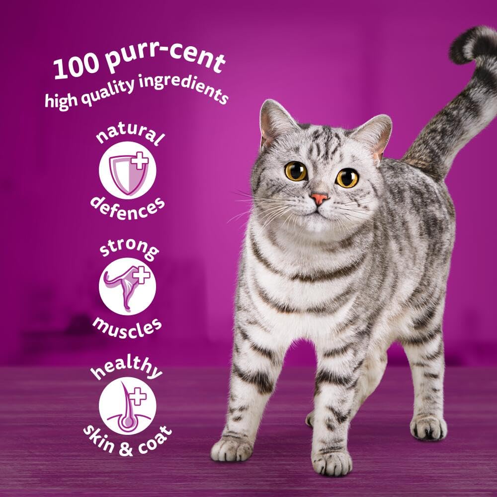 WHISKAS Wet Cat Food 1+ Years – Fish in Jelly – 40 x 85g Pouches – Adult Cat Megapack