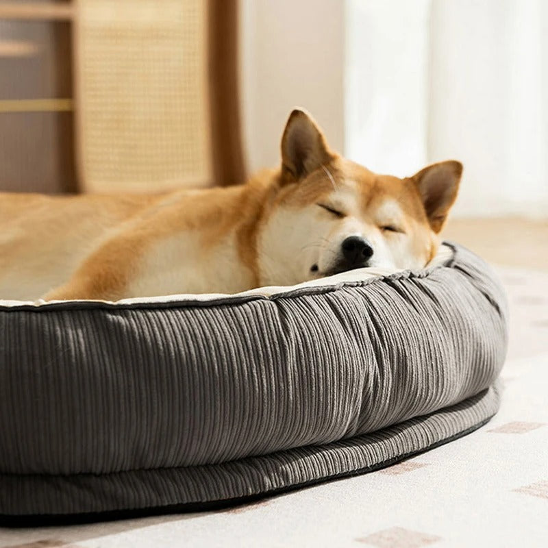 "Dog Bed for Small & Large Dogs – Cozy Pet Beds, Cushions & Mats for Puppies, Cats & All Breeds – Pet Accessories & Blankets"